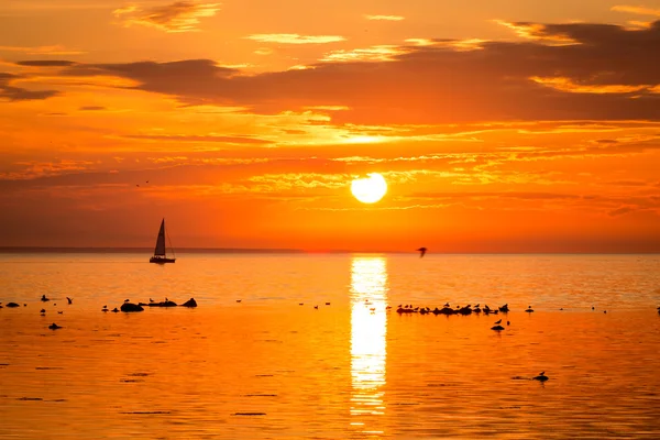 Zeilschip jachten in de zee in de buurt van kustlijn van tallinn — Stockfoto