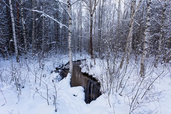 Zmrazené stream v zimním lese — Stock fotografie