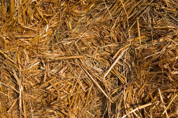 Heuballen auf einem Feld vor blauem Himmel aufgeschichtet — Stockfoto