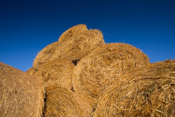 Piled hay bales on a field against blue sky — Stock Photo, Image