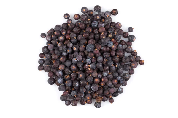 Dried black currant — Stock Photo, Image