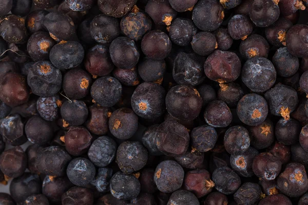 Kurutulmuş Siyah frenk üzümü — Stok fotoğraf