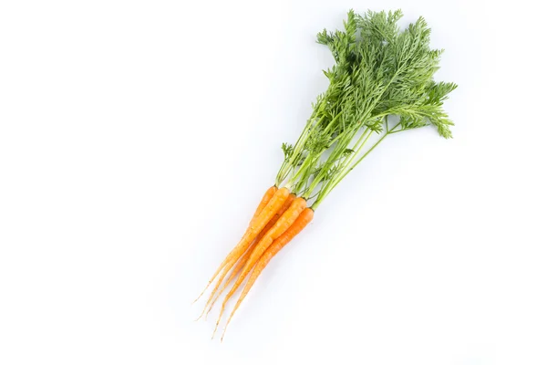 Fresh carrots isolated on white background — Stock Photo, Image