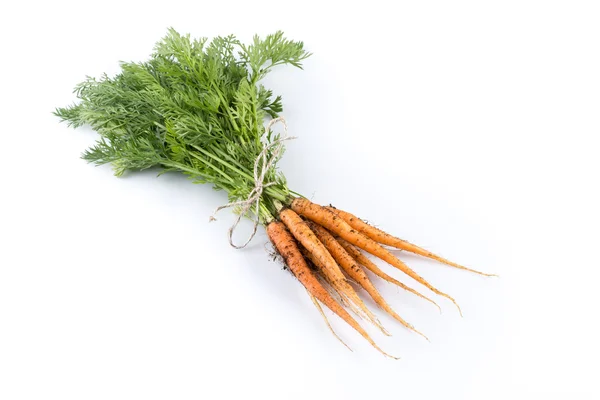 Freshly picked carrots — Stock Photo, Image