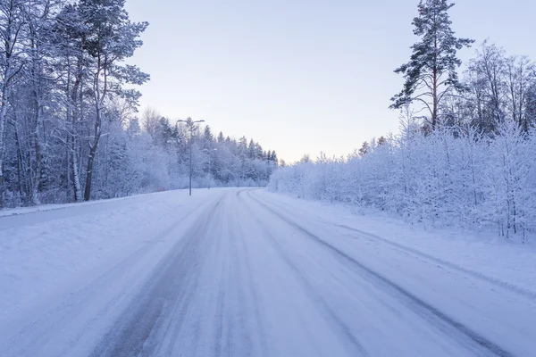 Bosque de invierno con carretera cubierta de nieve — Foto de Stock