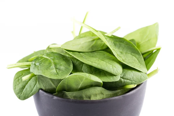 Green spinach on a white background — Stock Photo, Image