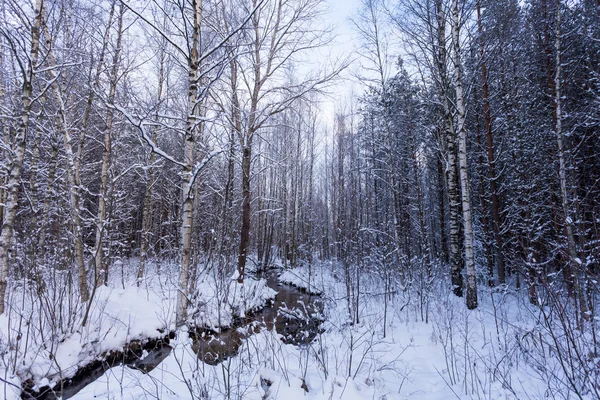 Zugefrorener Bach im Winterwald — Stockfoto