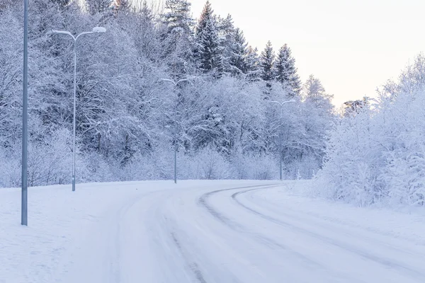 Bosco serale invernale con strada coperta di neve — Foto Stock