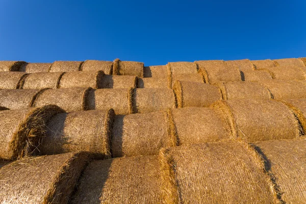 Balle di fieno impilate su un campo contro cielo azzurro — Foto Stock