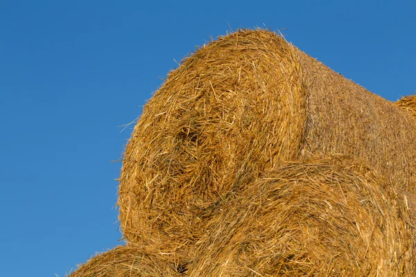 Piled hay bales on a field against blue sky — Stock Photo, Image