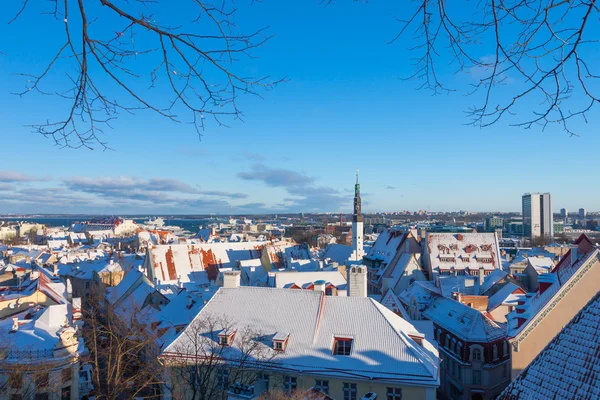 Tallinn city panoramautsikt över vinterlandskap — Stockfoto
