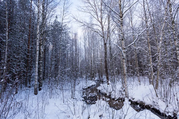 冰封的河流在冬季森林 — 图库照片