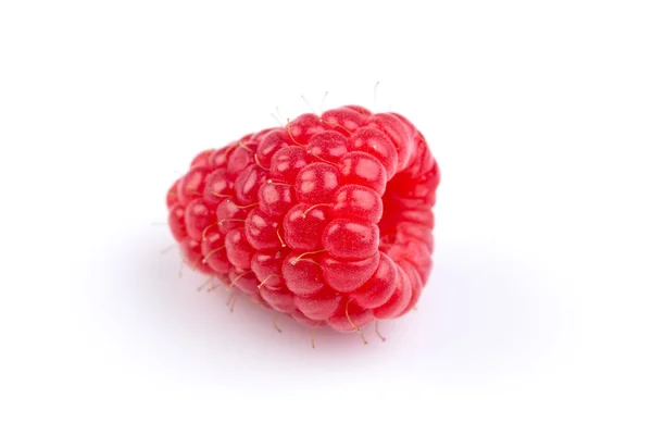 RASPBERRY ізольовані на білому тлі — стокове фото