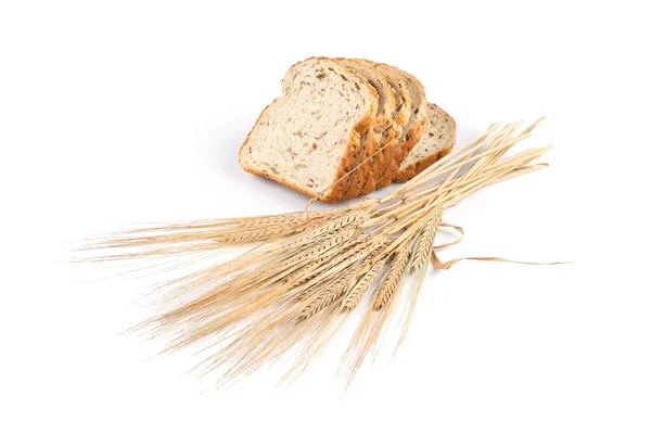 Pão fresco e trigo em branco — Fotografia de Stock