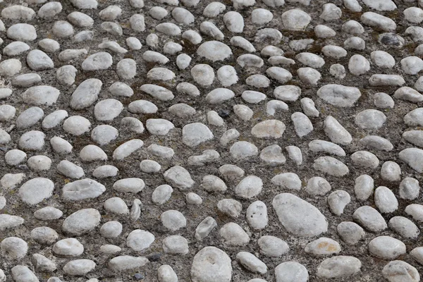 Fußweg aus kleinen Kieselsteinen — Stockfoto