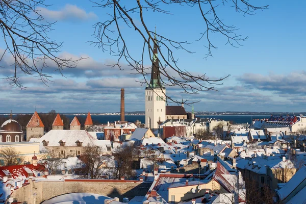 Tallinn zimní město panoramatické krajiny — Stock fotografie
