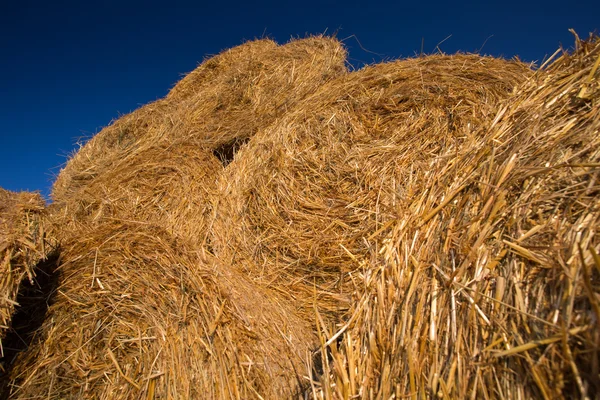 Fardos de heno apilados en un campo contra el cielo azul — Foto de Stock