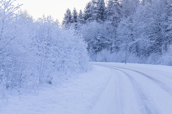 Bosco serale invernale con strada coperta di neve — Foto Stock