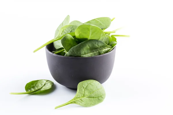 Groene spinazie op een witte achtergrond — Stockfoto