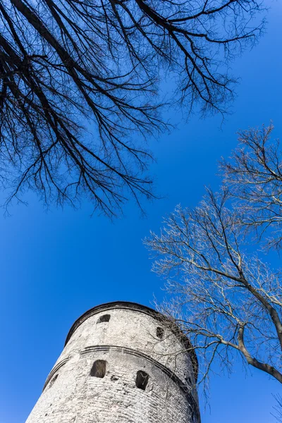 Небо старого Таллінна — стокове фото