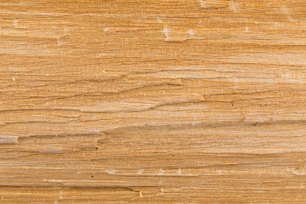 Birch wood texture — Stock Photo, Image