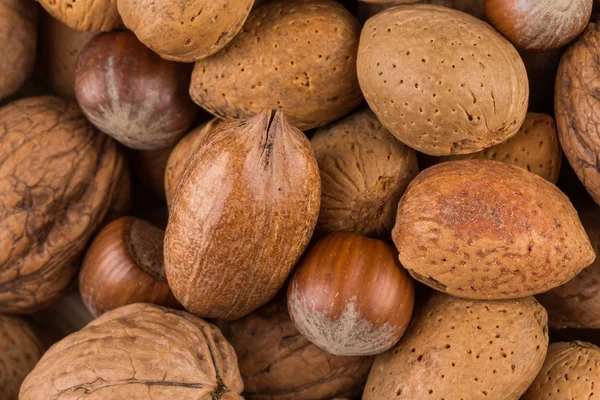 Verscheidenheid van Mixed Nuts — Stockfoto