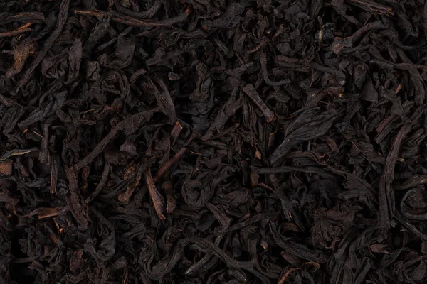 Kuru siyah çay — Stok fotoğraf