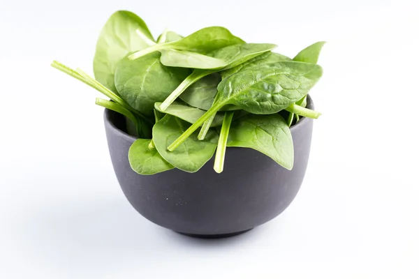 Green spinach on a white background — Stock Photo, Image