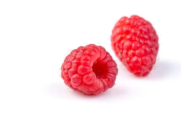 RASPBERRY ізольовані на білому тлі — стокове фото