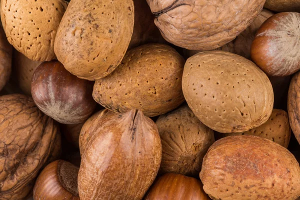 Verscheidenheid van Mixed Nuts — Stockfoto