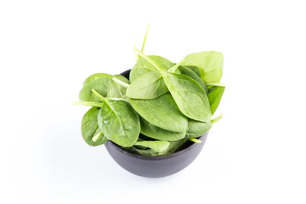Green spinach on a white background — Stock Photo, Image
