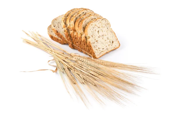 Pão fresco e trigo em branco — Fotografia de Stock
