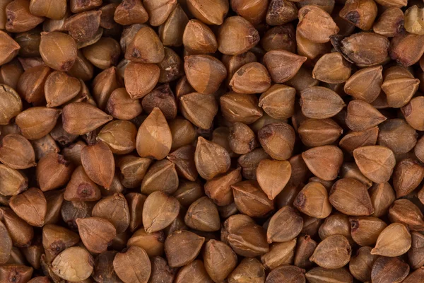 Latar belakang tekstur Buckwheat — Stok Foto