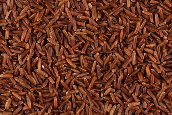 Raw red rice — Stock Photo, Image