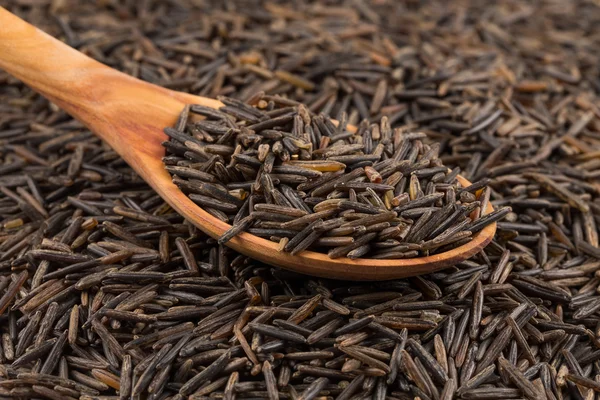 Wild brown rice in spoon — Stock Photo, Image