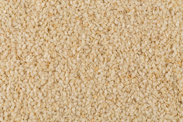 Closeup de lotes de sementes de sésamo — Fotografia de Stock