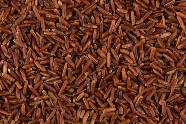 Raw red rice — Stock Photo, Image