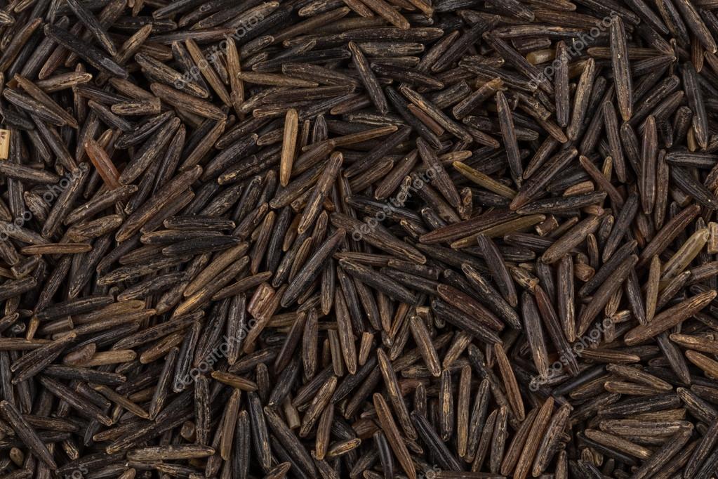 achtergrond van zwarte wilde rijst — stockfoto © romantsubin #98437136