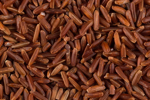 Raw red rice — Stock Photo, Image