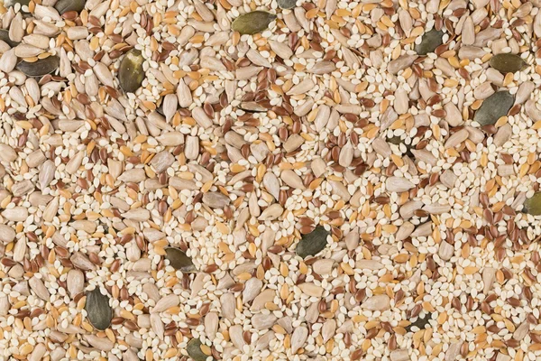 Mezcla de semillas saludables — Foto de Stock