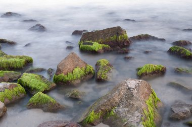 Yosun deniz güzel taşlarla