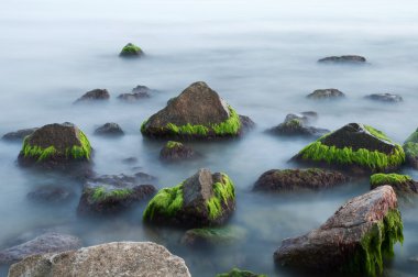 Yosun deniz güzel taşlarla