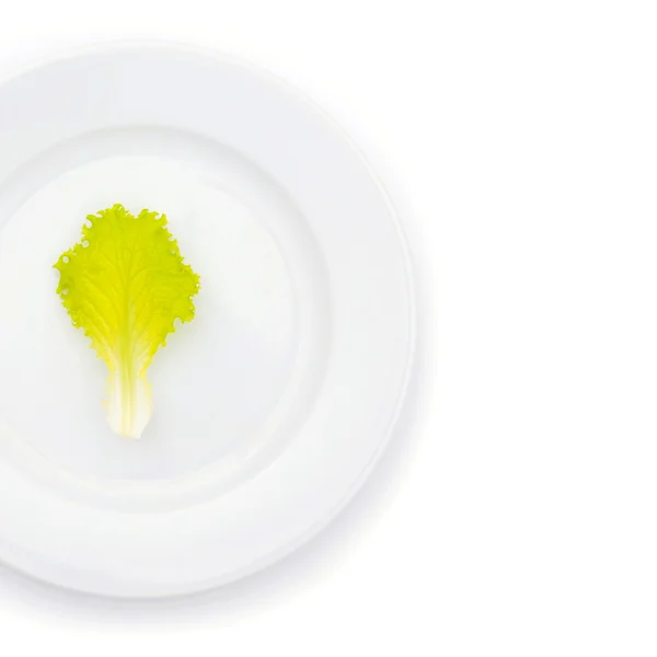 Листя салату в білій тарілці — стокове фото