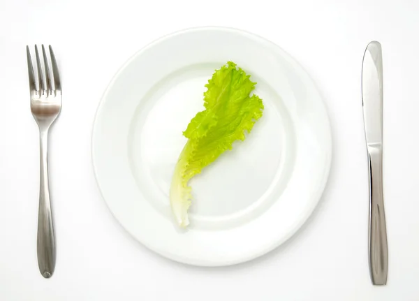 Lettuce in a white plate — Stock Photo, Image
