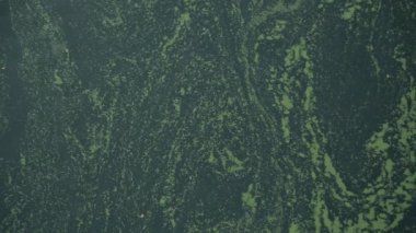 Yeşil algler ile nehrin akış