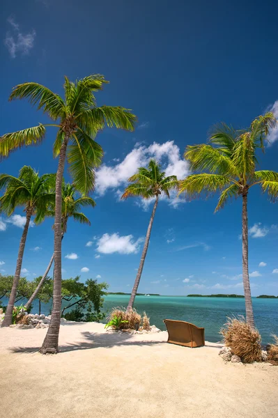 Rustig strand en handpalmen op baai in de florida keys — Stockfoto