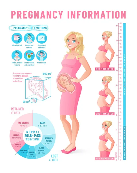 Infografía del embarazo. Mujer embarazada saludable vector ilustración. — Vector de stock