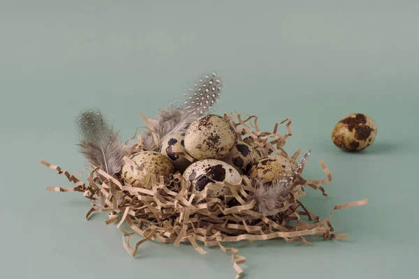 Easter nest made of hay with quail eggs and feathers on a blue background, close-up. Easter composition in pastel colors. Natural Easter background, creative layout.