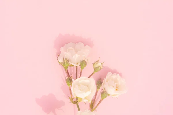 Rosas de rosas blancas sobre fondo rosa, espacio para copiar. Mínimo estilo plano laico. Para la tarjeta de felicitación, invitación. 8 de marzo, 14 de febrero, cumpleaños, San Valentín, Madres, concepto de día de la mujer. — Foto de Stock