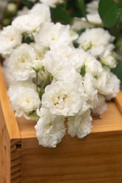 Wooden Box White Small Roses Made Garden Style Gift Bouquet — Stock Photo, Image